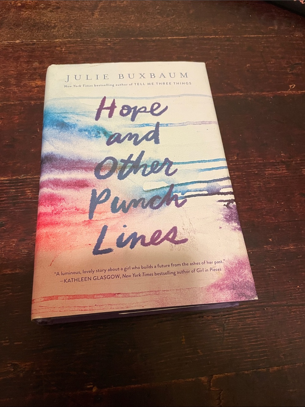 'Hope and Other Punch Lines' Hardcover - by Julie Buxbaum